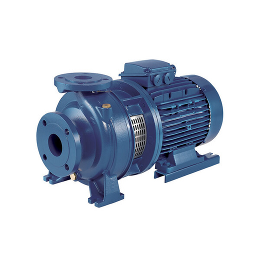 ebara-3d-4-serie-kreiselpumpe-gusseisen-mit-edelstahl-laufrad image 8