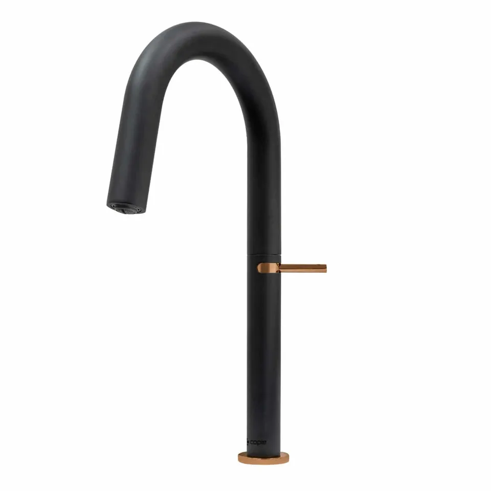 caple-flutier-einhebelmischer-k-chenarmatur-schwarz image 1