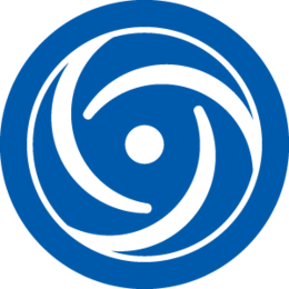 ebara-drd-tauchpumpe-aus-gusseisen-mit-kanalrad image 5