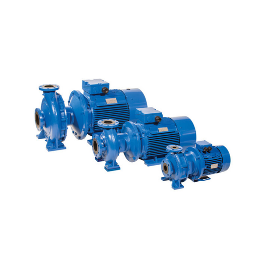ebara-gsd-serie-gusseisen-kreiselpumpe-en-733-dn32-dn150-pn16 image 6